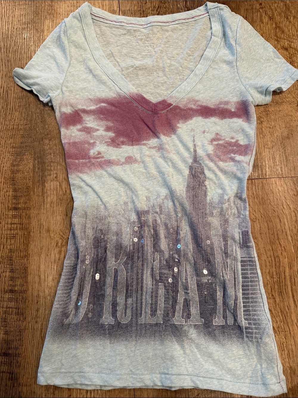American Eagle Blue Graphic V-Neck Tee with Pink Accent